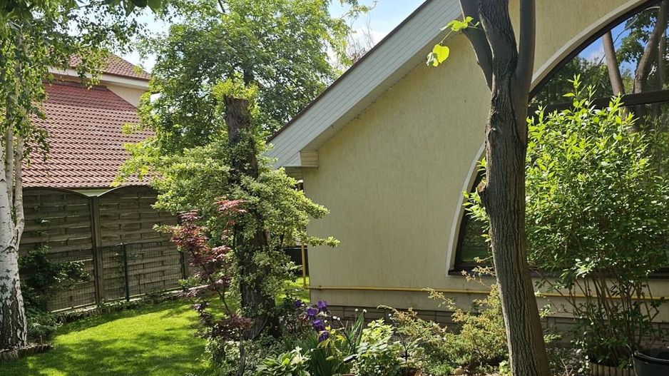 Vila 4 camere 220 mpu - 400 mp teren - Pipera / V Alecsandri - Poză 3