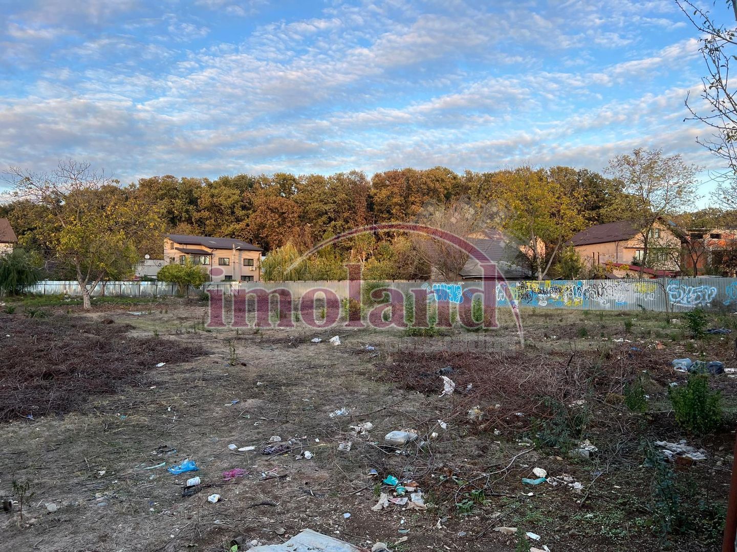 Teren intravilan - vanzare - Colentina - Padurea Andronache - Poză 3