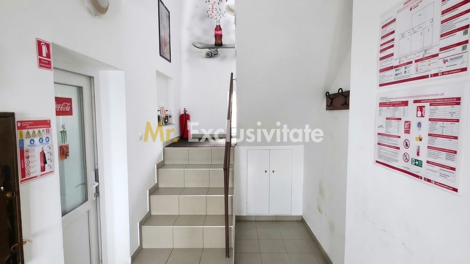 De Vânzare Casă P+M str Vulturului SM - Poză 3