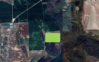 Teren arabil extravilan în Aroneanu, zona Nucarie – 9.012 mp - Poză 1