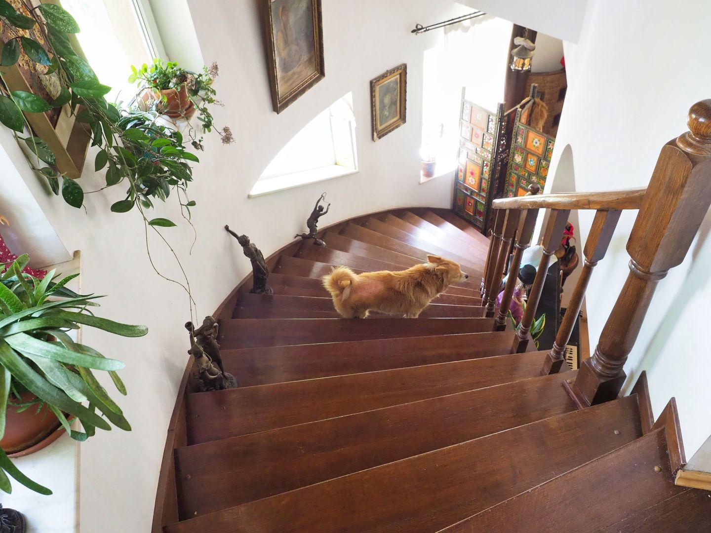 Vila 6 camere-teren 1800mp-Snagov Izvorani-lac - Poză 4