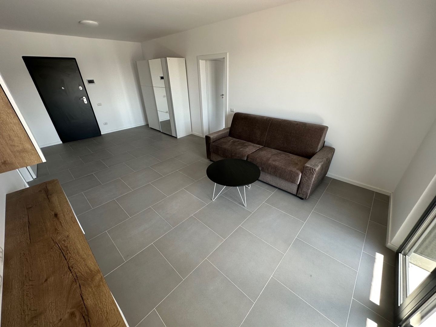 Apartament 2 camere Torontalului - Veterinary Faculty - Poză 4