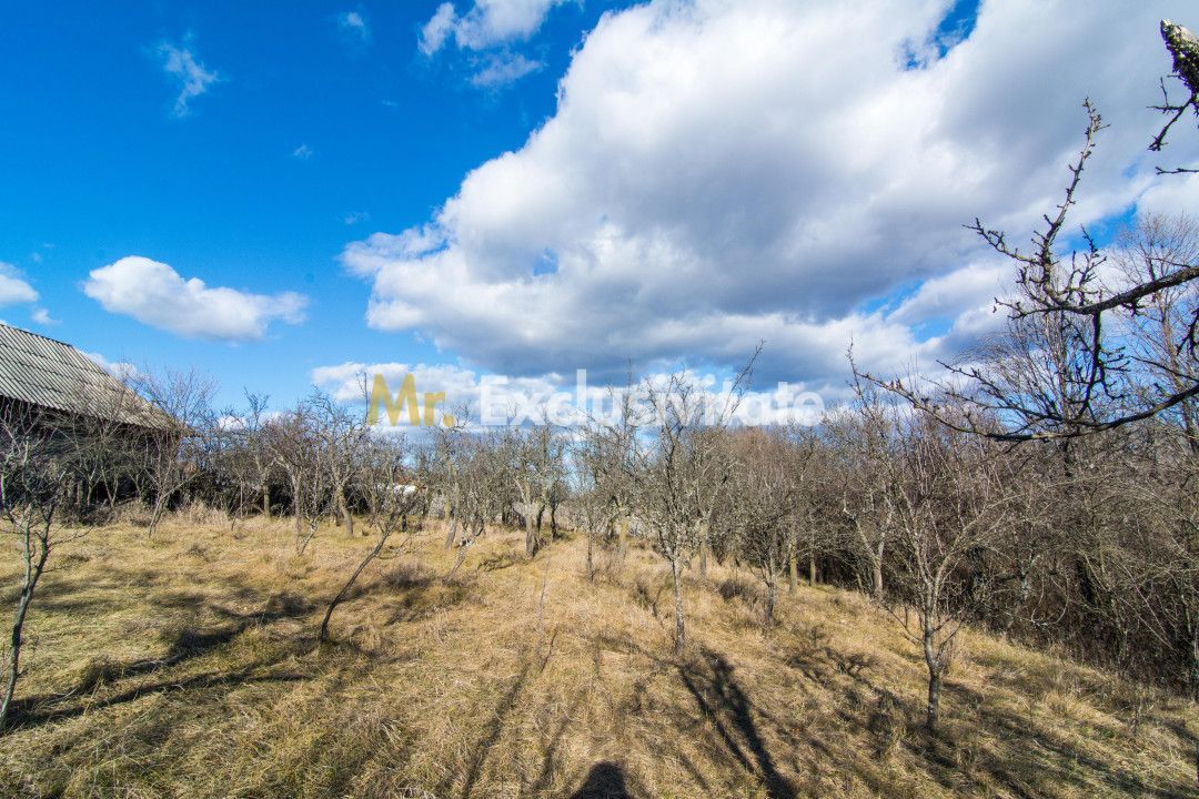 Casa traditionala argeseana – comuna Vedea, jud. Arges - Poză 8