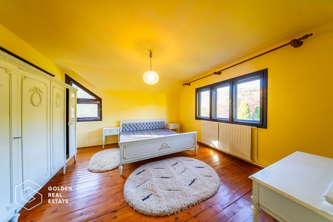 Casa de vacanta, localitatea Cladova, ideal pozitionata - Poză 13