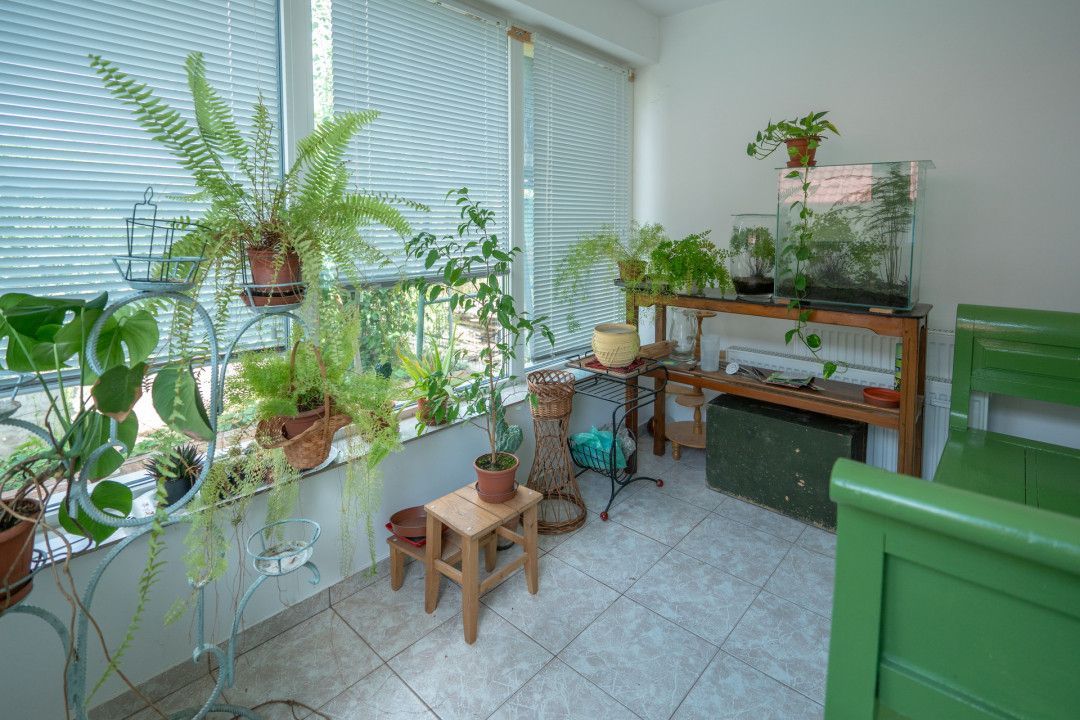 De Vânzare Casă Vânătorilor 9 ari teren - Poză 20