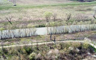 Teren intravilan Balint 22.500 mp - Poză 7