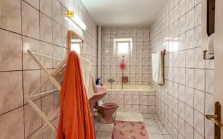 Curte generoasa - Casa Intretinuta - Zona Pod Ira - Poză 9