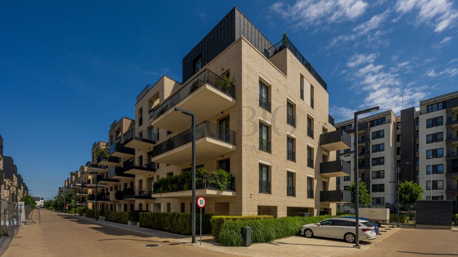 Studio Modern | Gradina Proprie | Avalon Estate - Poză 12