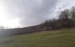 Teren Extravilan 4.572mp | Zonă liniștită | Sadu - Poză 10