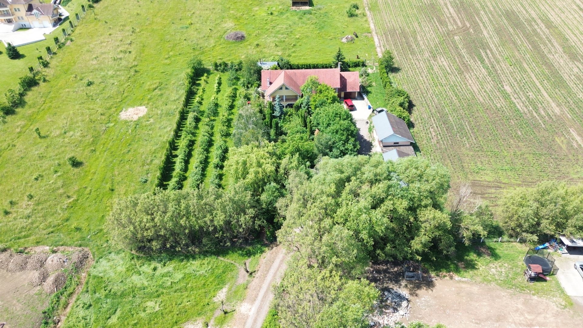 PROPRIETATE PREMIUM CU 4.534 MP TEREN- REGHIN STRADA POMETULUI - Poză 4