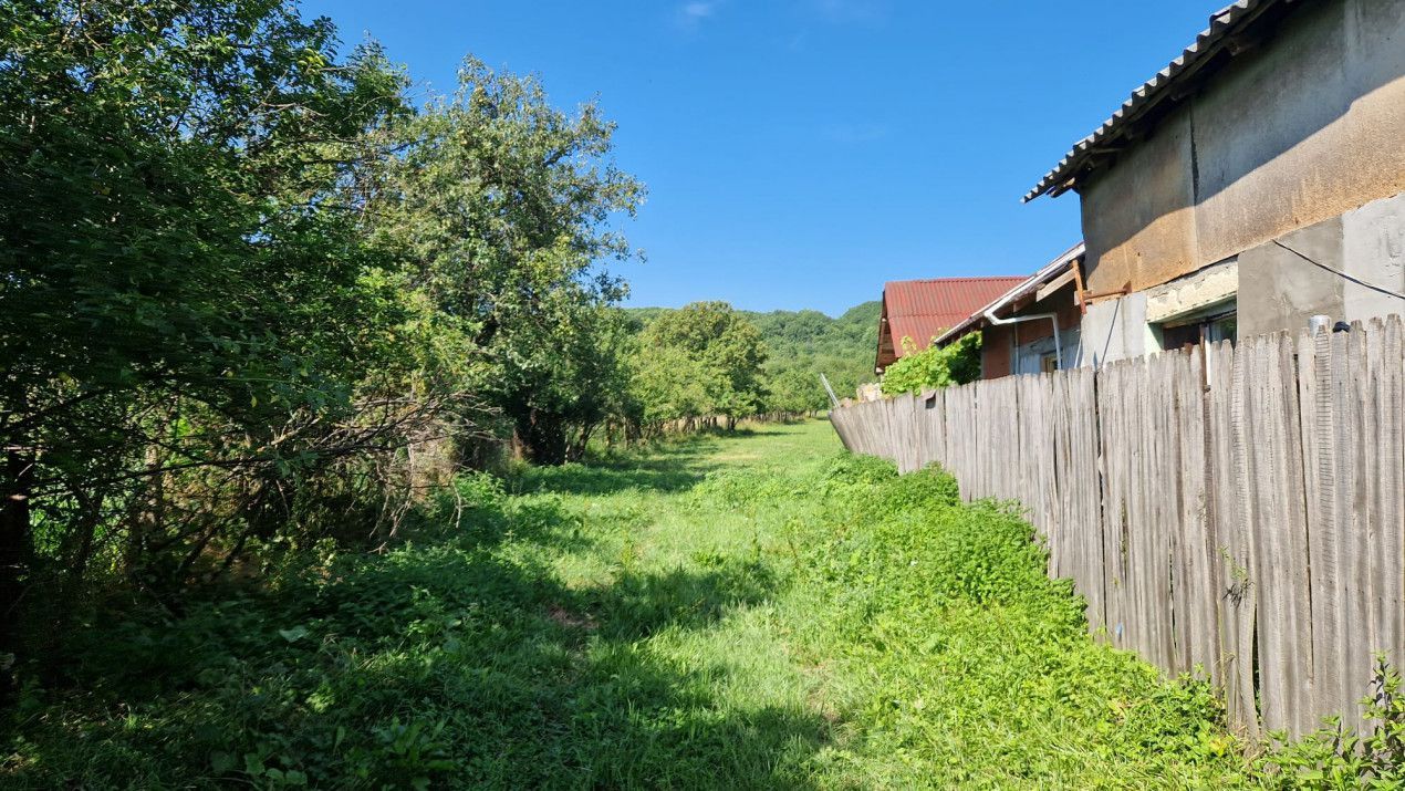 Vanzare teren intravilan, Smeura de Sus - Poză 7