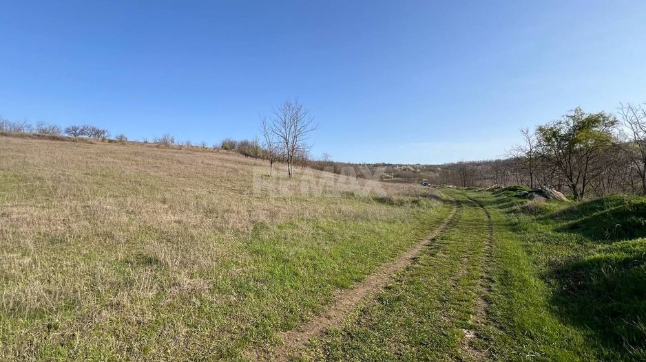 Teren pentru grădină / investiție – 14,86 ari în Ghidighici, zonă liniștită și ecologică - Poză 5