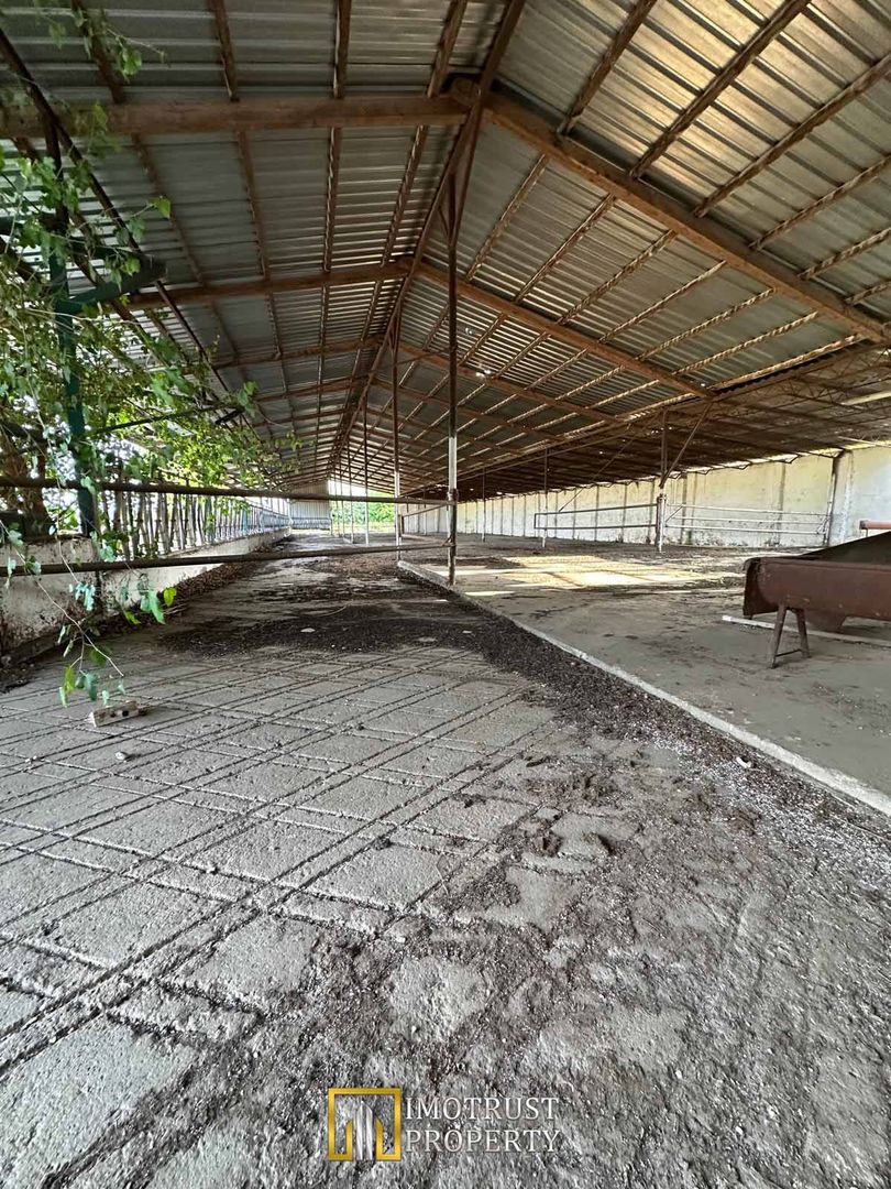 Teren 9.508 mp cu 2 fronturi stradale – Sofronea, Arad - Poză 5