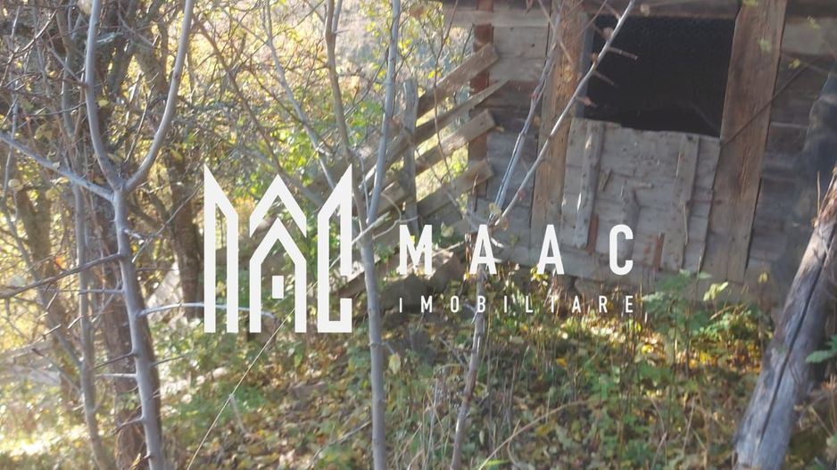 Super ofertă 35000 teren in Muntii Apuseni - Poză 25