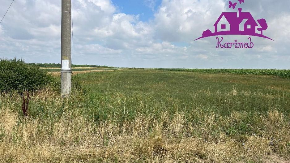 Teren la intrare in localitatea  Gepiu - Poză 4