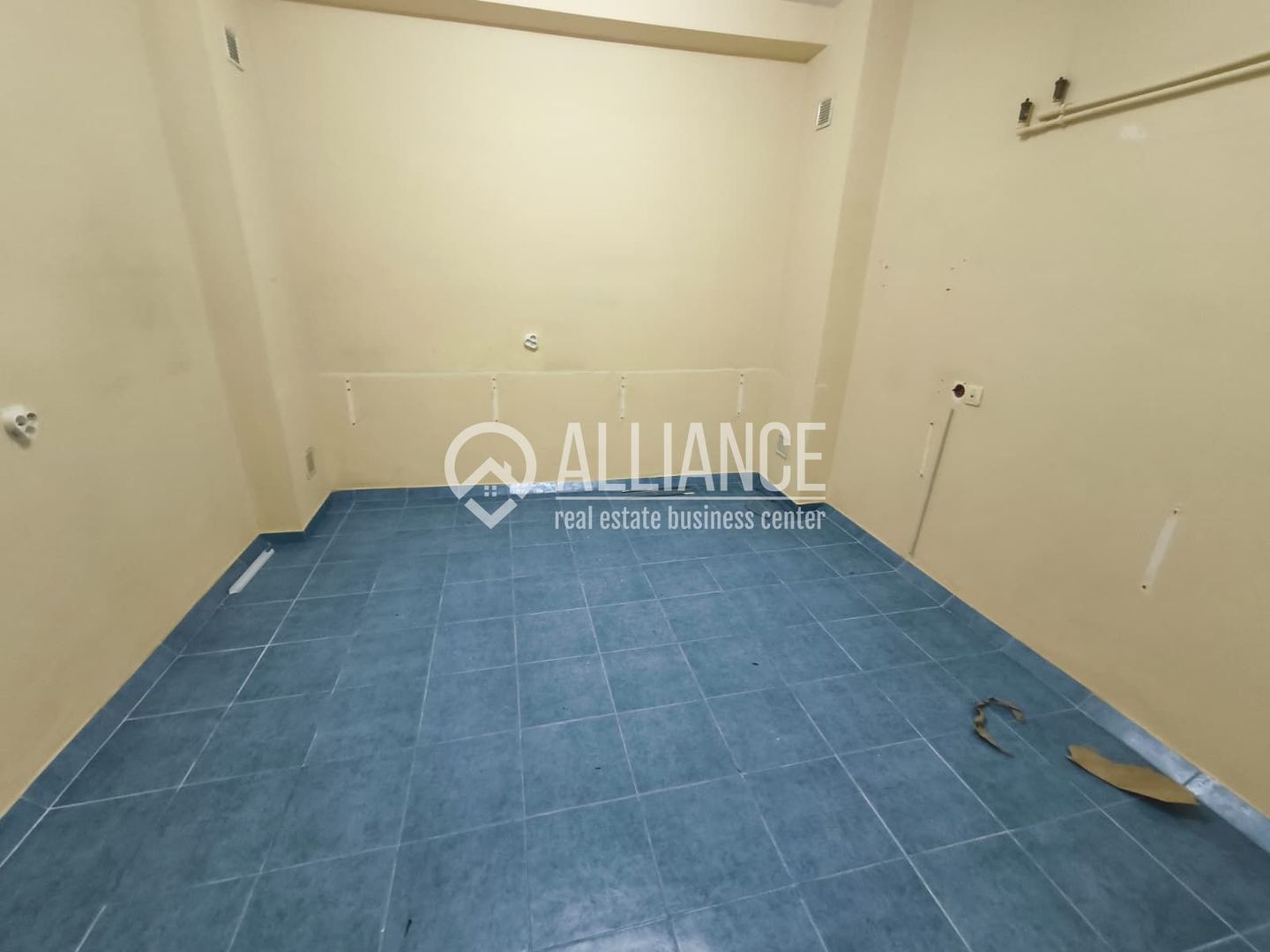 TROCADERO Spatiu comercial parter de vila. - Poză 3