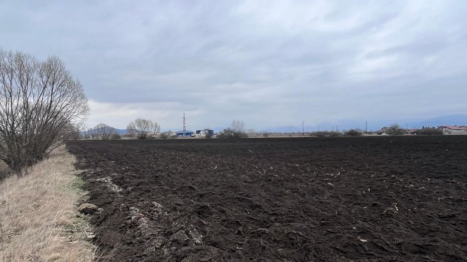 Teren 50000mp Extravilan-Intrare Halchiu-Cod 5235 - Poză 8