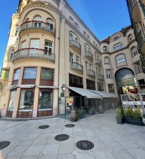 Chirie Ultra-central Oradea – spațiu HoReCa în Pasajul Vulturul Negru - Poză 3