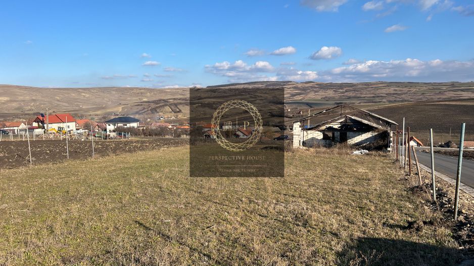 Teren de vanzare in Daia Romana, toate utilitatile la asfalt, 2.314Mp - Poză 3