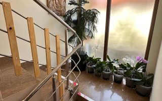 Vila cu piscina British School - Poză 23