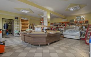 COMISION 0% | 2 Case cu Spatiu Comercial | Teren 1019mp | 540 eur/mp - Poză 25