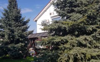 Vila de vanzare zona Metro/Arcasilor - P+1E+M - Poză 1