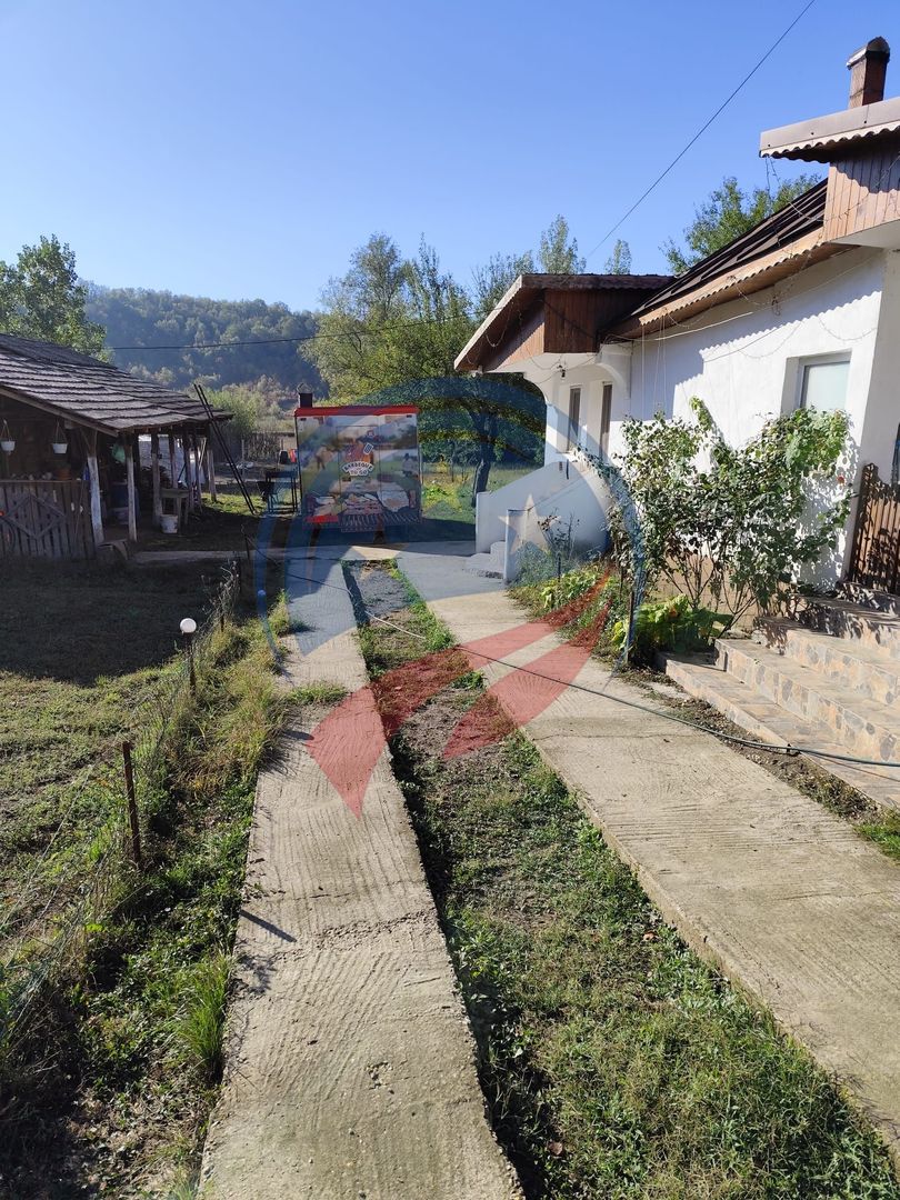 Casa cocheta la 30 minute de Craiova- Cornița Dolj - Poză 12