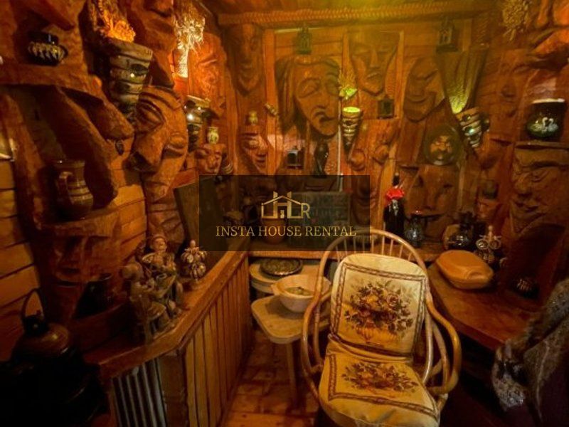 Vila 10 camere Calea Calarasi / Unirii - Poză 24