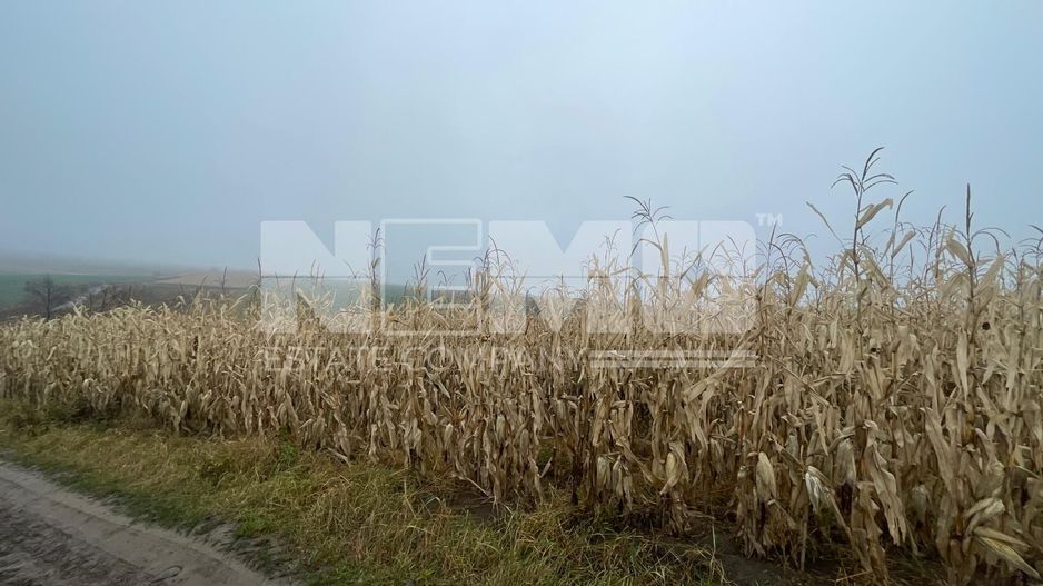 TEREN EXTRAVILAN | DOUA PARCELE 2.84 HA| IDEAL AGRICOL | DARMANESTI - Poză 11