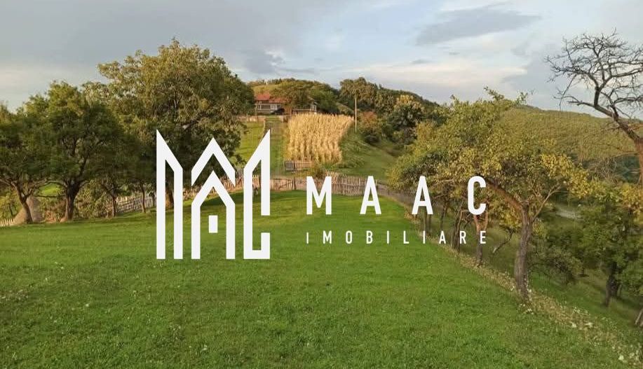 Proprietate cu 60000 mp pamant la pret de apartament - Poză 7