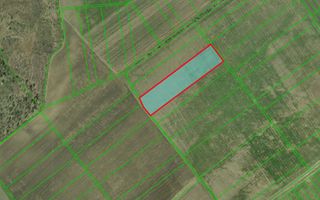 Vânzare, teren agricol, 150 ari, satul Colonița - Poză 2