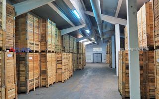 COMISION 0% - HALE Calinesti Arges - Poză 32