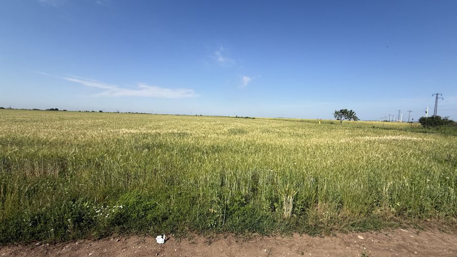 Teren 10 hectare pretabil pt panouri solare-Aricesti Rahtivani - Poză 7