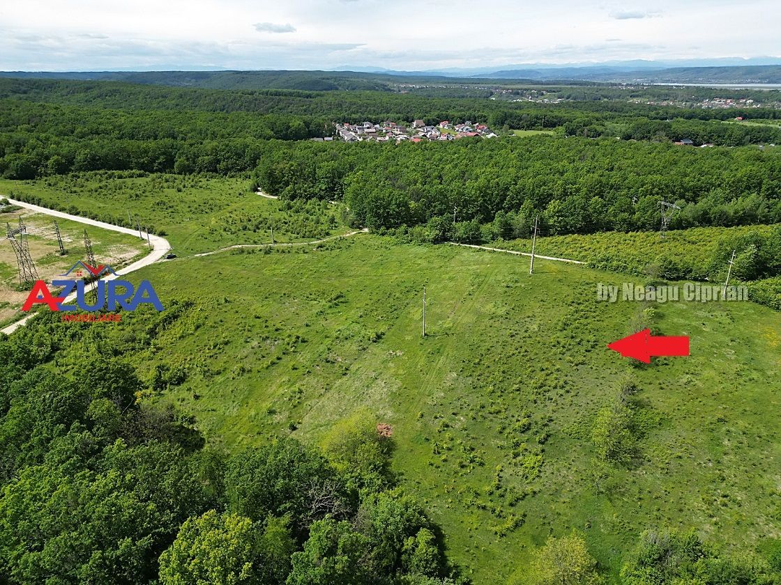 Vanzare teren Balotesti, la padure - Poză 6