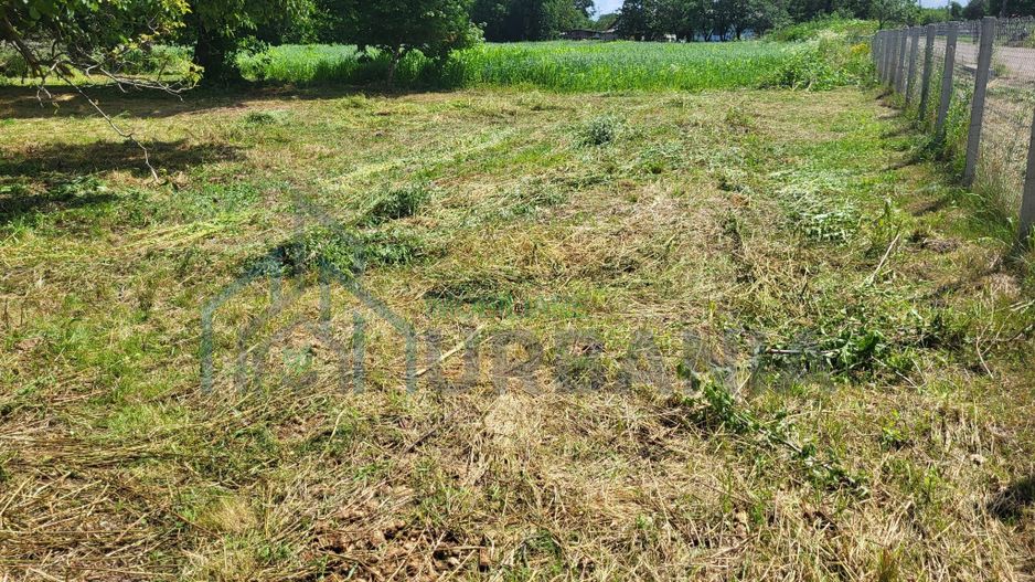 Casă bătrânească cu 5200 mp teren în Damileni - Botoșani - Poză 2