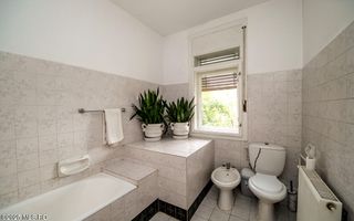 Freidorf - Vila Multifunctionala - D+P+1, 380 mp utili! - Poză 7