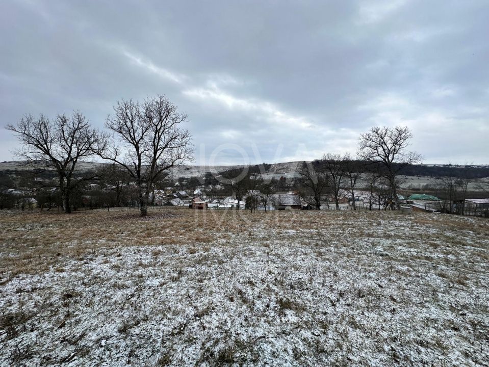 Casa individuala cu teren generos – 8.356 mp – Tichindeal, jud. Sibiu - Poză 9