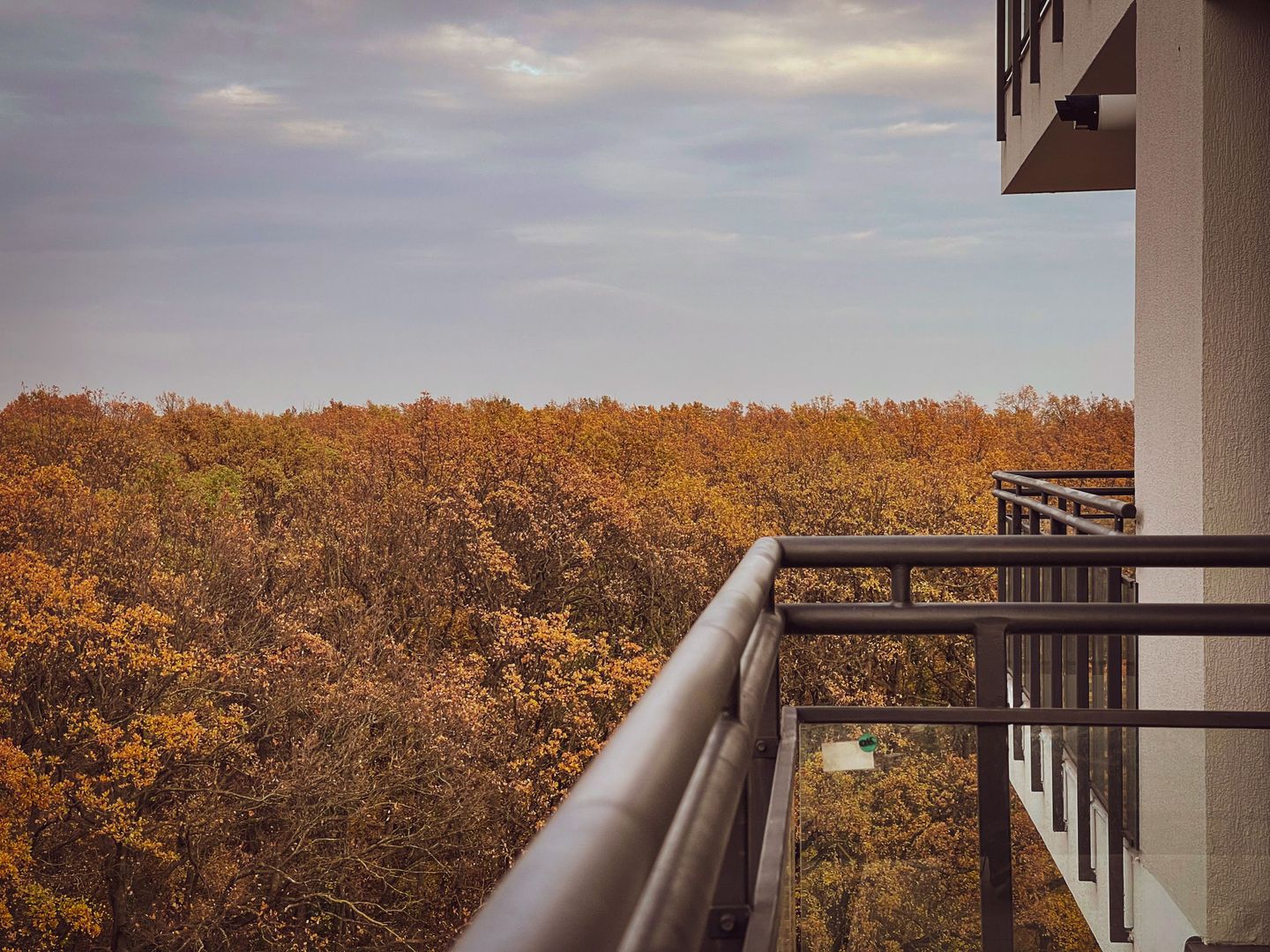 2 camere - Prima inchiriere - Denya Forest - Timisoara - Poză 17