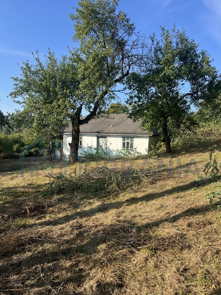 Teren intravilan 3003 mp cu casă bătrânească, fântână și curent electric în Dobrovat, Iași - Poză 3