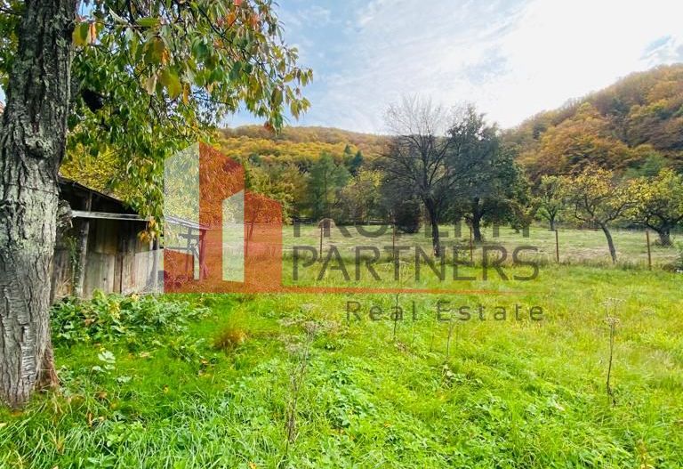 Casa + teren 1700 mp langa Padure Bran/ Predelut - Poză 3