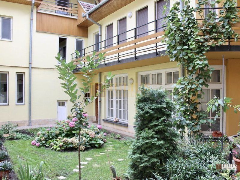 Casa de inchiriat in zona Lipovei - Pomiculturii. Curte comuna, ctr. Anaf. - Poză 2