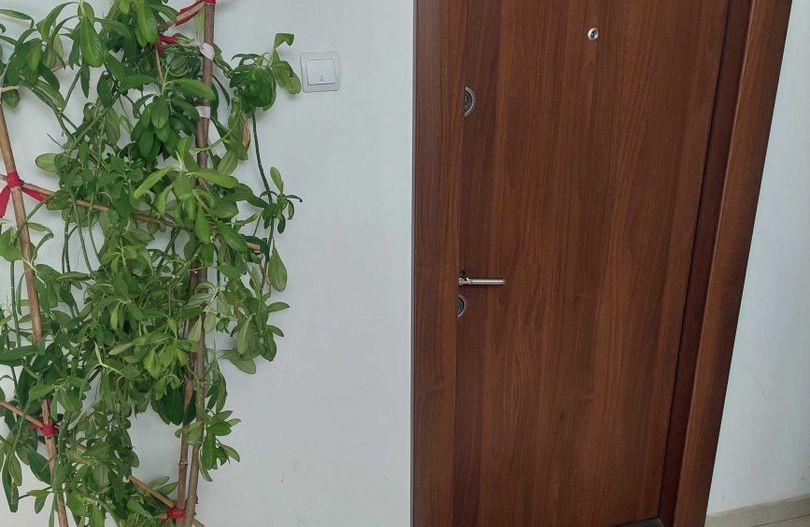 2 camere | birou - punct de lucru | Vasile Lascar | Dacia - Poză 8