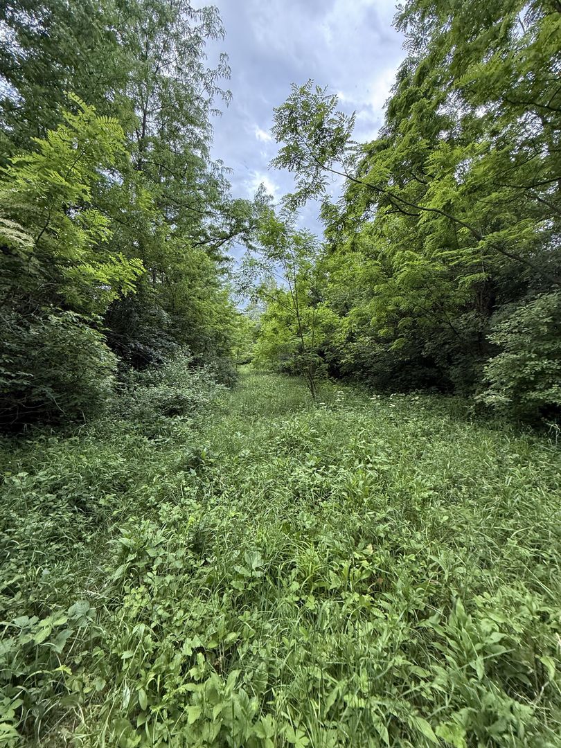 Teren plat-intravilan -3800 mp, cu pădurice și ieșire la râu! - Poză 29