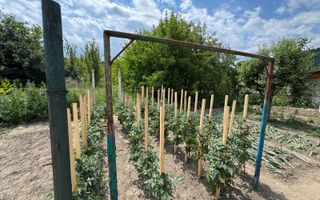 Casă spațioasă in Seica Mare - Centru | 92mpu 638mp teren - EXCLUSIVITATE - Poză 6