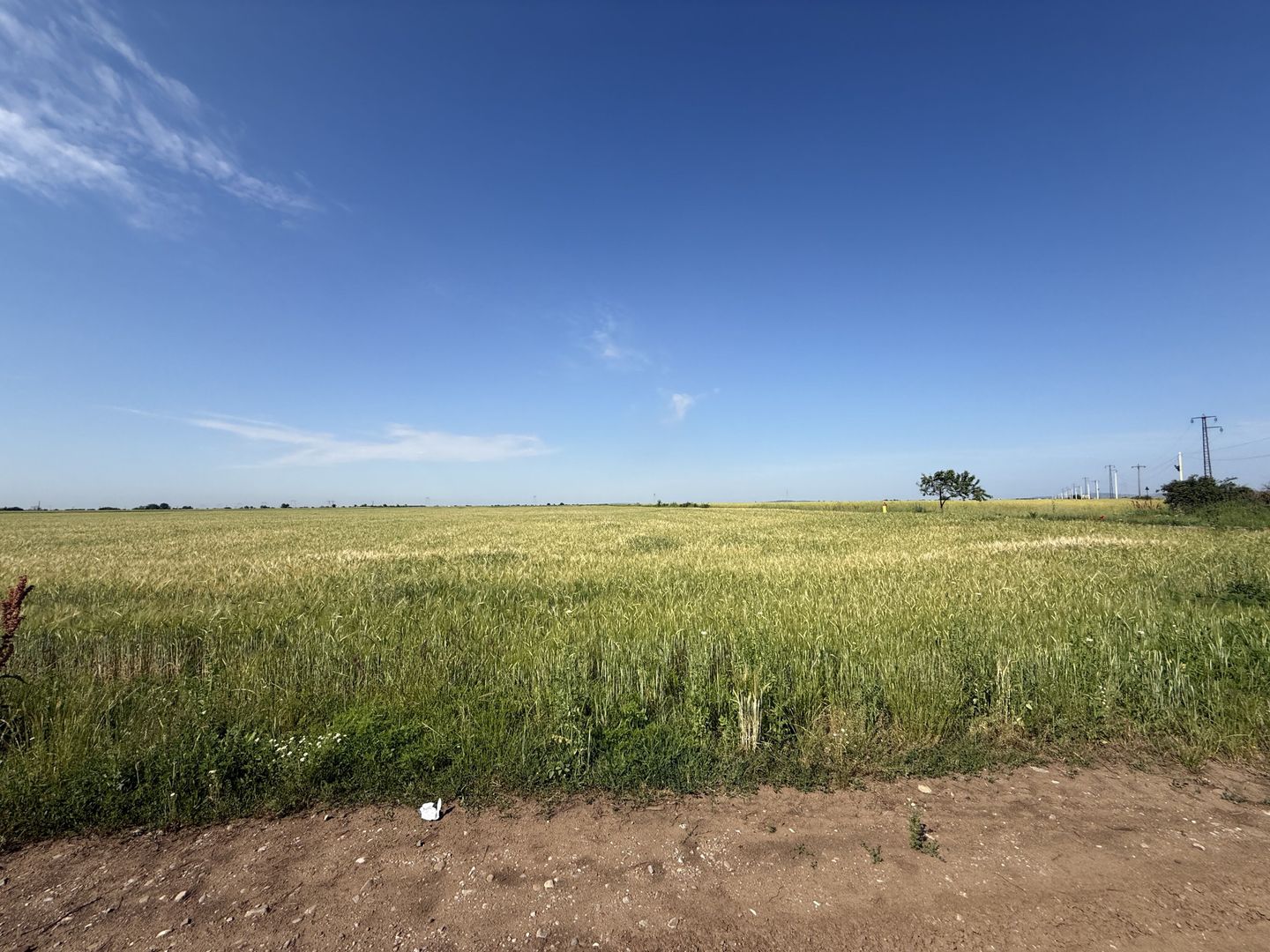 Teren 10 hectare pretabil pt panouri solare-Aricesti Rahtivani - Poză 3
