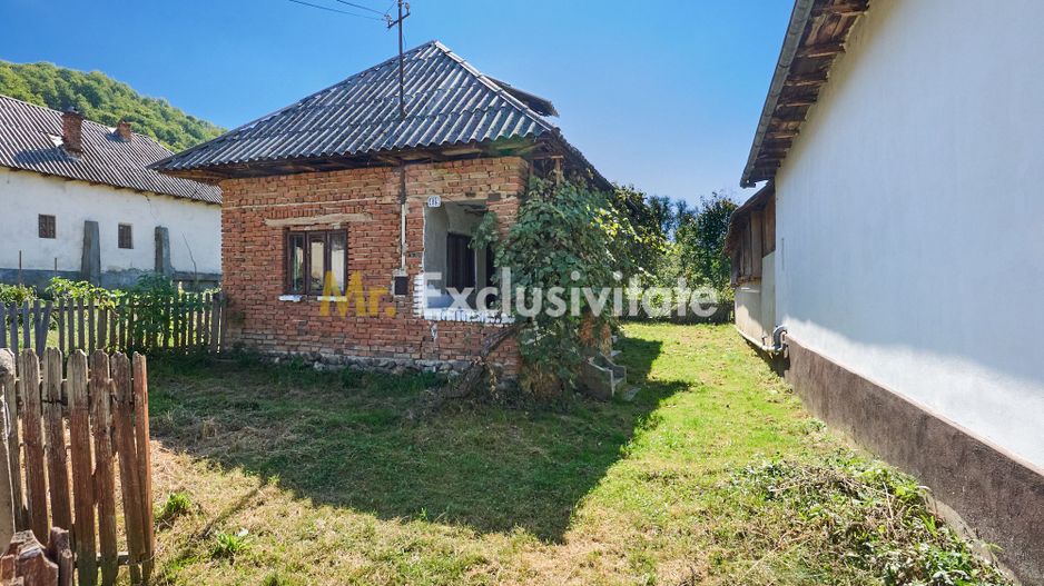 Casa cu teren de 1.200 mp si livada–Badesti, comuna Pietrosani, Arges - Poză 1