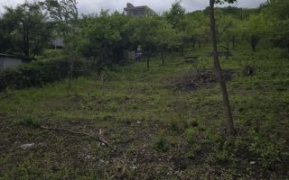 De vanzare! 3 parcele de teren intravilan - Poză 5