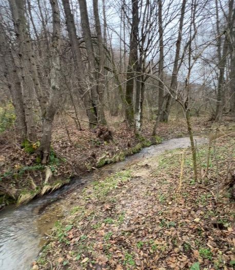 Teren intravilan 6.500 m²–Deschidere 144 ml drum european E81, km 35, Morăresti - Poză 3