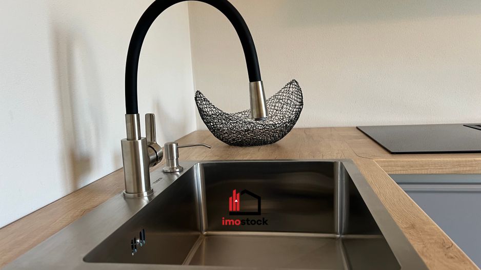 Vila superba Dumbravita - Poză 16