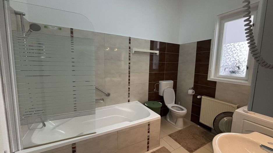 Vilă de închiriat zona Parvan - Poză 11